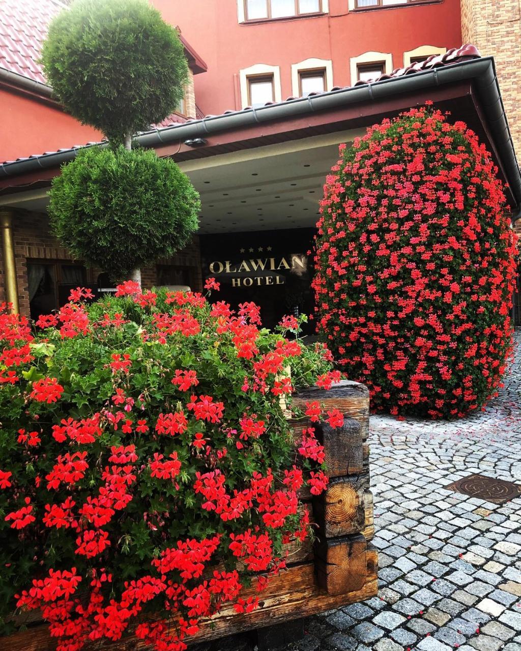 Olawian Hotel Oława Extérieur photo